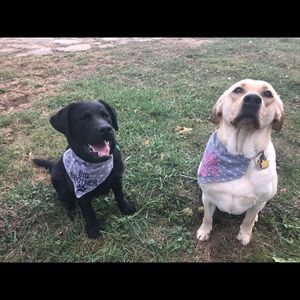 Meet your Posher, Hailey